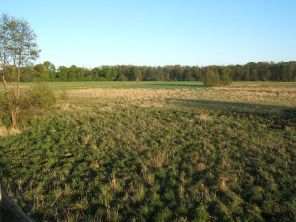 Unsere Jagdreviere