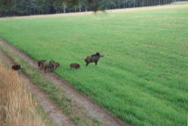 Unsere Jagdreviere