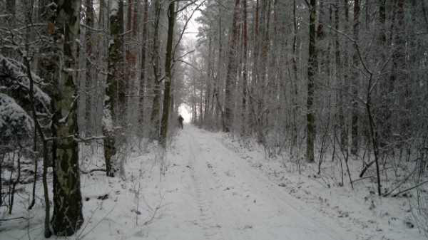Unsere Jagdreviere