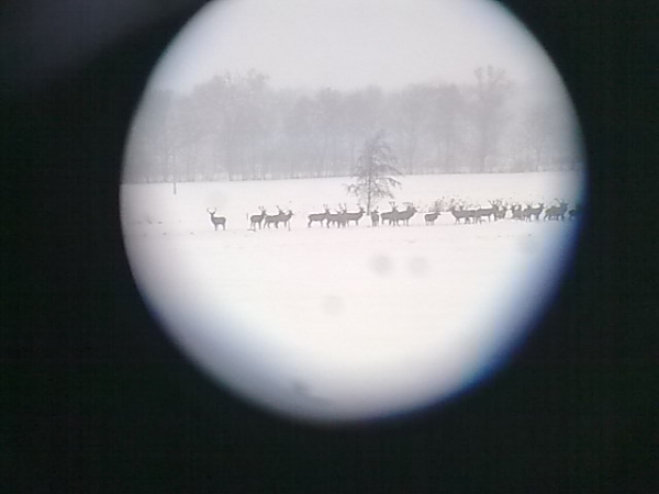 Unsere Jagdreviere