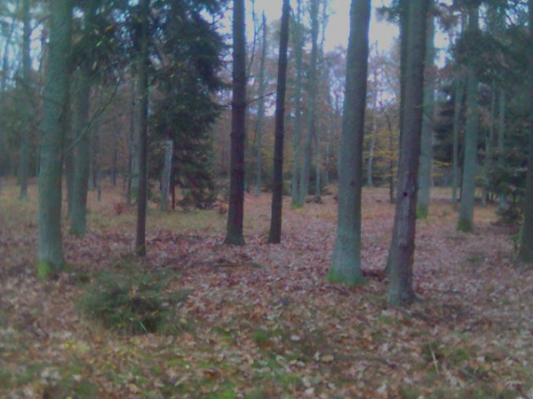 Unsere Jagdreviere