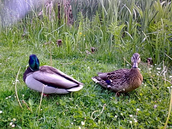 Unsere Jagdreviere