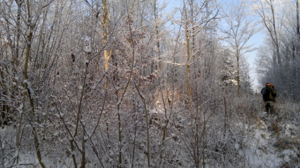 Unsere Jagdreviere