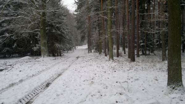 Unsere Jagdreviere