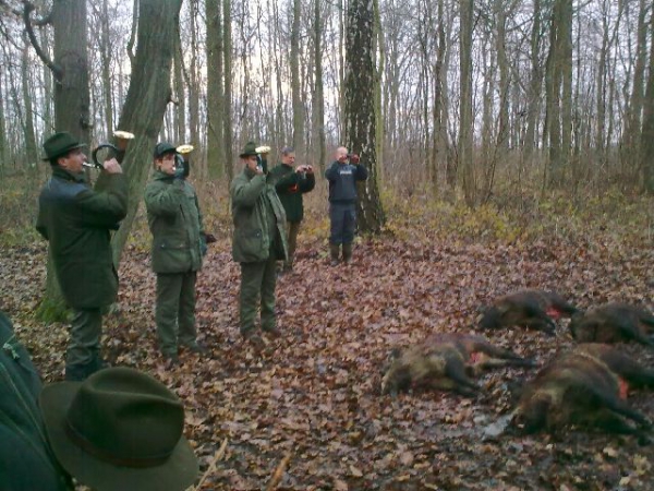 Drückjagd