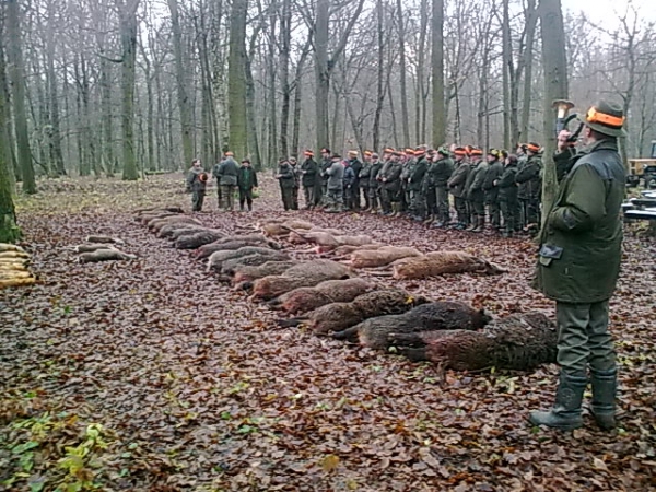 Drückjagd
