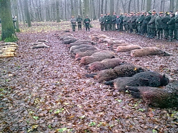 Drückjagd