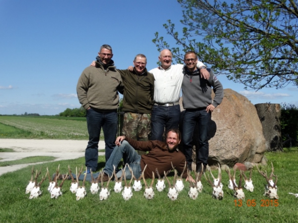 Bockjagd